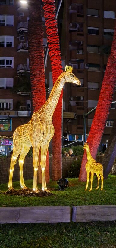 Christmas in Torre La Mata under the palm trees